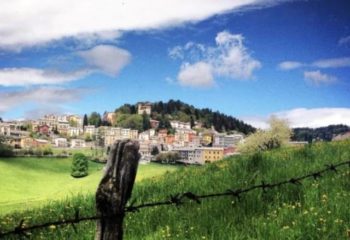 Campi estivi Bosco Campi estivi Bosco