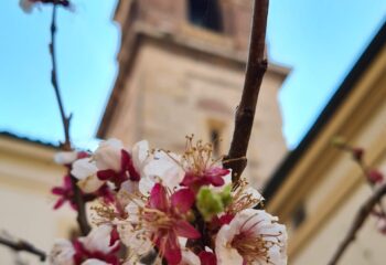 20220325_143128 20220325_143128