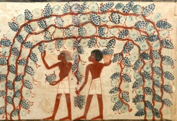 immagine per degustazione immagine per degustazione