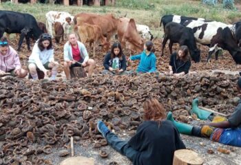 stimate tanzania 2022 05 stimate tanzania 2022 05