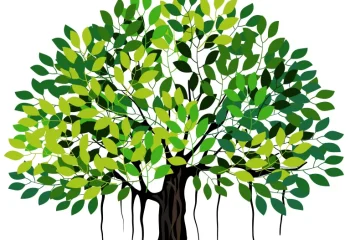 venti-trenta–ficus venti-trenta–ficus